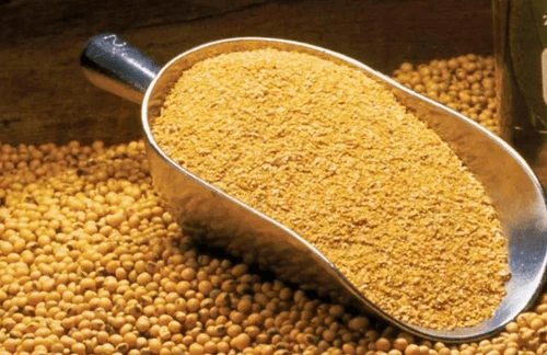 46% Protein Soybean De-Oiled Cake