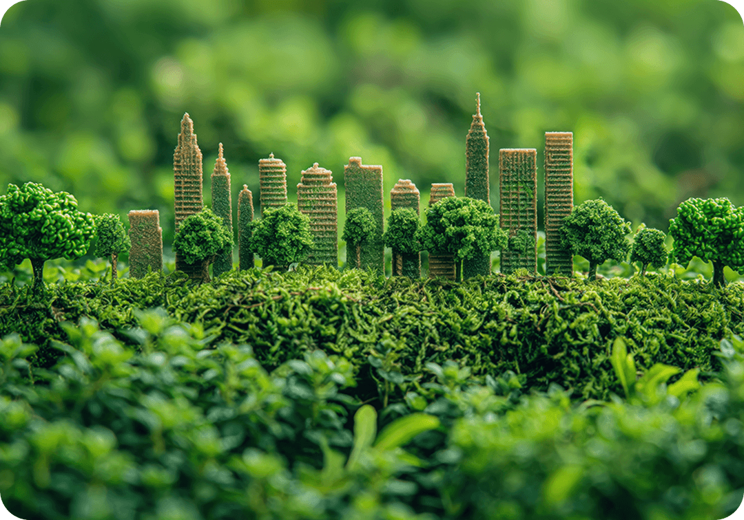 Leading the Way in Eco-Friendly Innovation